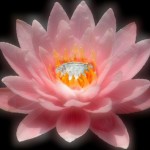 Jewel in the Heart of the Lotus